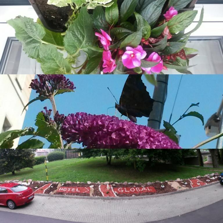 Hotel Global Sokolov Zewnętrze zdjęcie